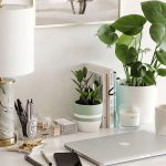 What is the best plant for you?
